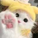 GeKeCy