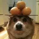LakBud